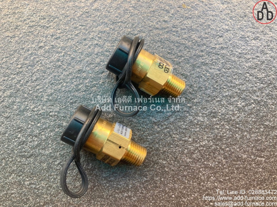 Fisher H110-250 Relief Valve(10)
